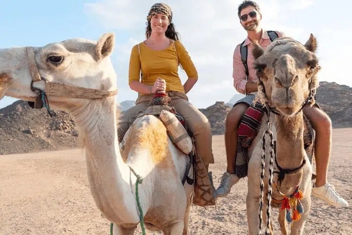 Quad with Camel Ride & Bedouin Village Dinner from Marsa Alam, photo 3
