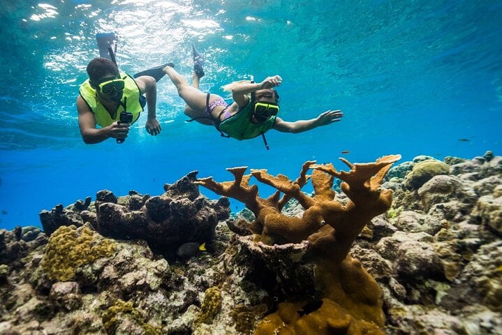 Snorkelling Boat Trip in Montego Bay, photo 2