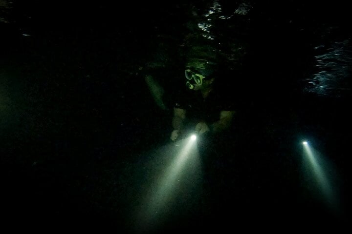 Night Snorkelling Adventure in Bonaire, photo 3