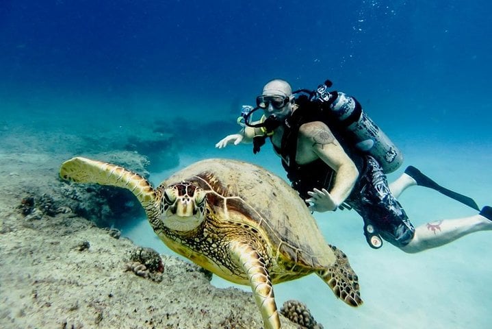 Certified Scuba Day in Hurghada, photo 3