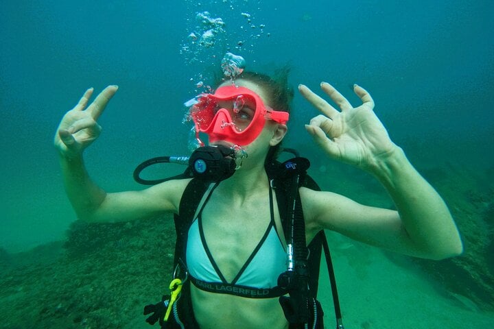 Try Scuba and Snorkelling with Transfer in Fujairah, photo 5
