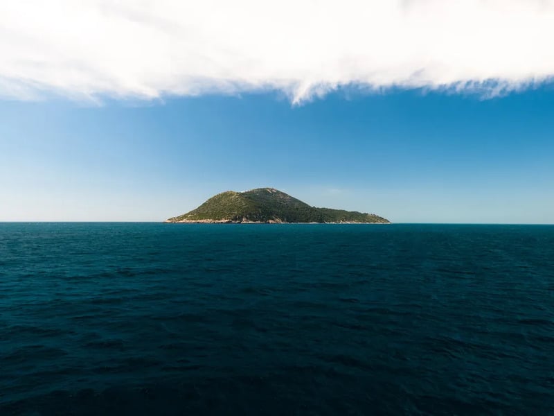 Sazan Island Boat Tour in Vlore, photo 4