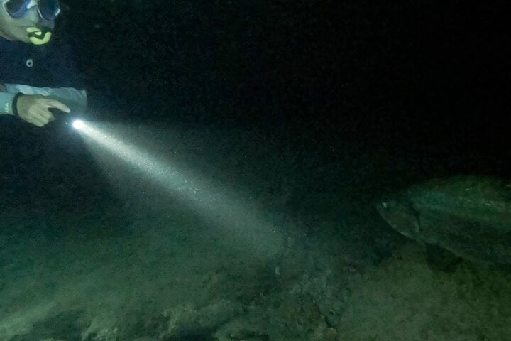 Night Snorkelling Adventure in Bonaire, photo 4