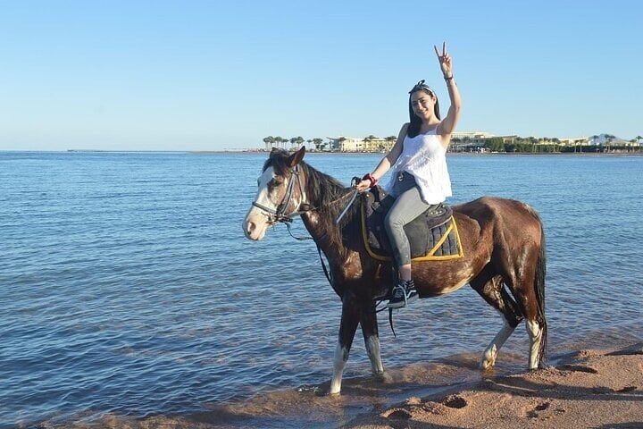 Sun and Sea Horse Ride in Hurghada, photo 2
