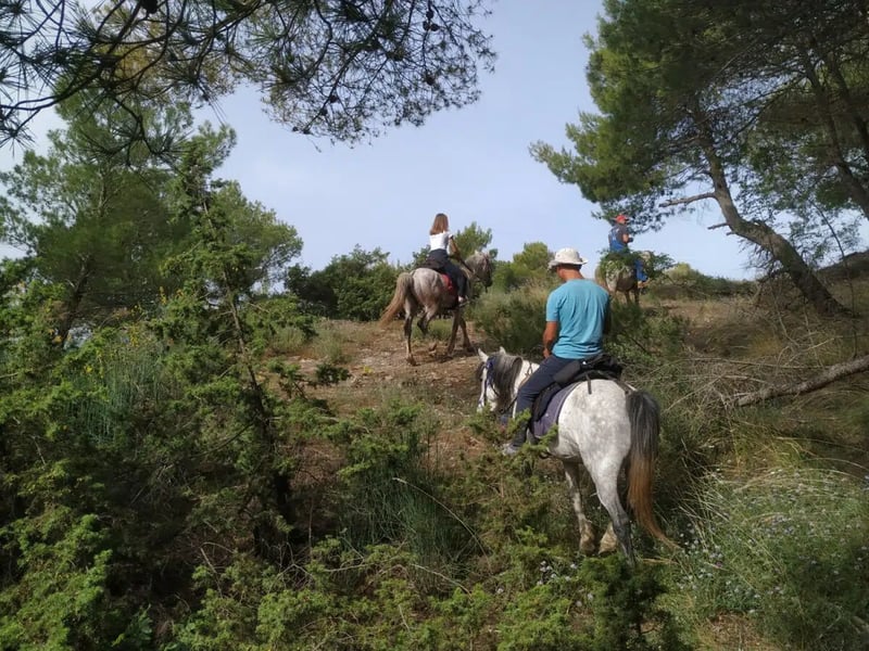 Countryside Horseback Ride in Gjirokastra, photo 5