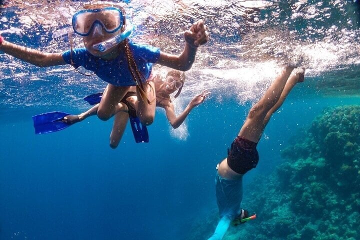 Private Speedboat Snorkel in Marsa Alam, photo 3