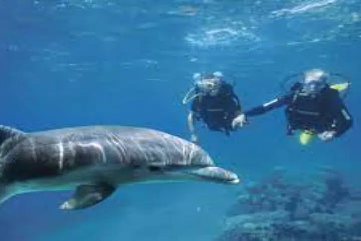 Scuba Diving Sea Trip with Lunch from Hurghada, photo 2