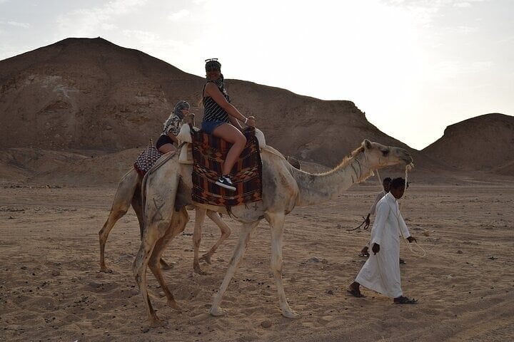 ATV Camel and Snorkel Safari in Marsa Alam, photo 5