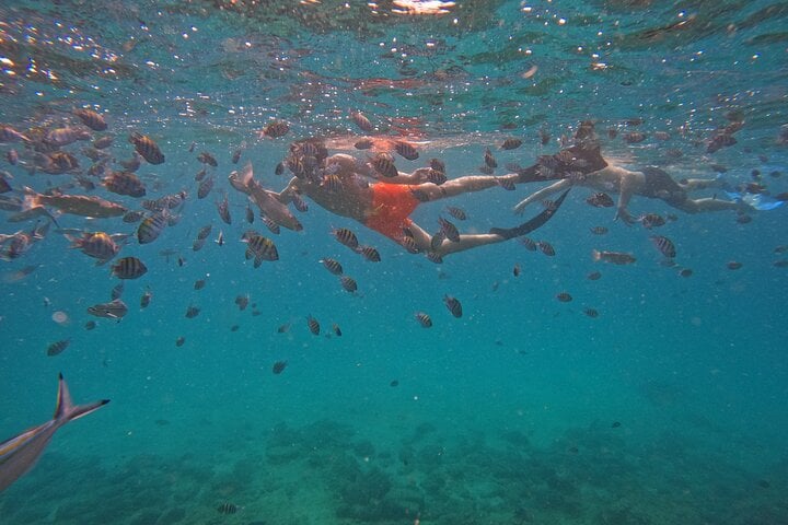 Full Day Snorkelling around Dibba Musandam, photo 4