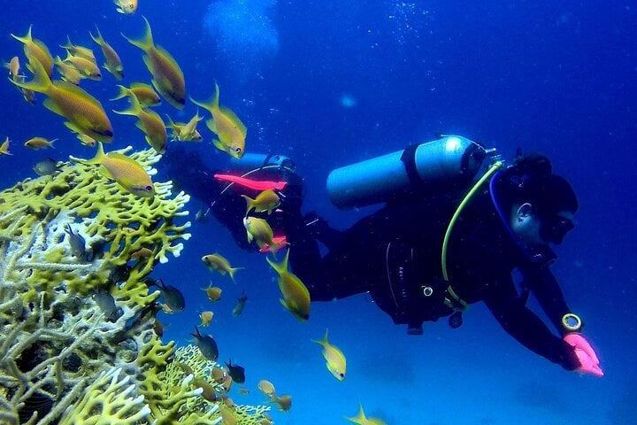 Hamata and Qulaan Islands Diving Day in Marsa Alam, photo 2