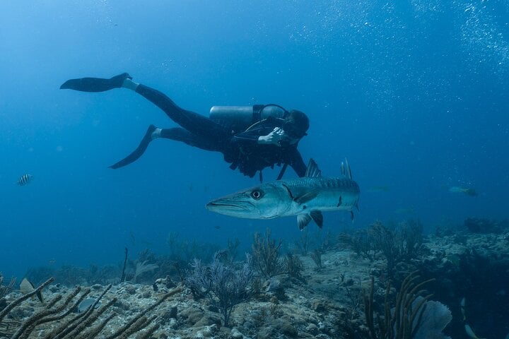 PADI Advanced Open Water in Sharm El Sheikh, photo 4