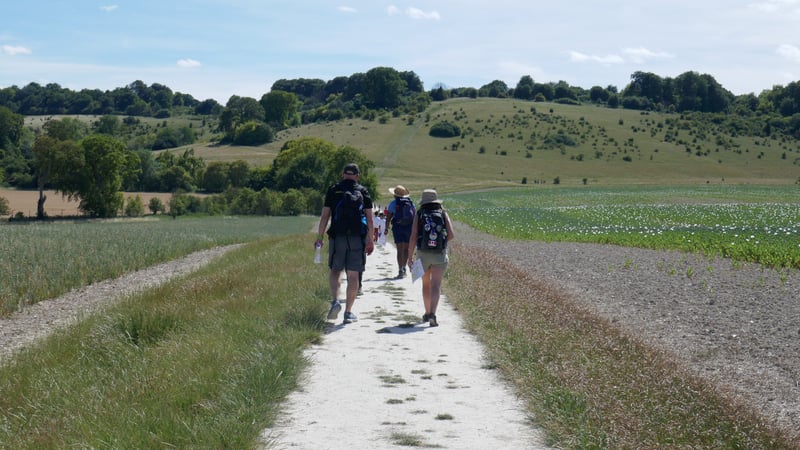 Navigation Training Day in the Ashridge Estate, photo 2