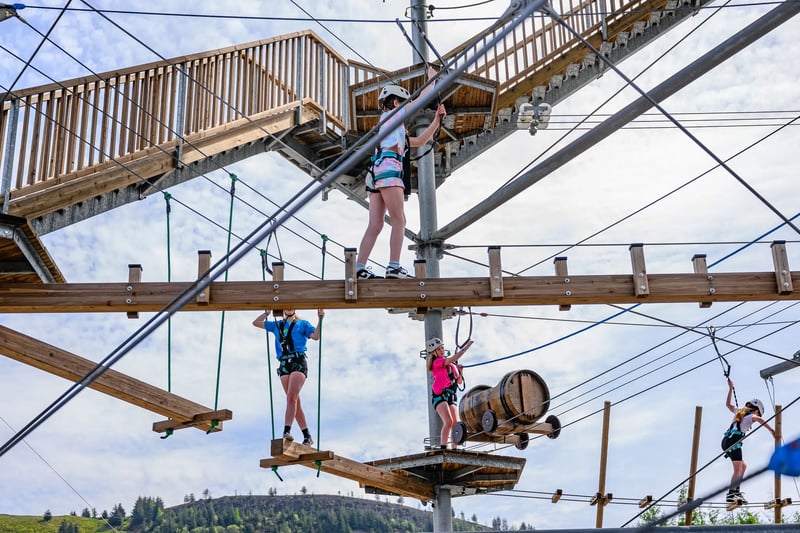 'Tower Climber' Ropes Course in Aberdare, photo 3