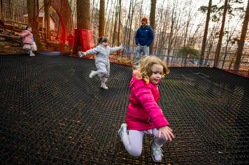 ‘Treetop Nets’ Bouncy Treetop Adventure in Manchester, photo 5
