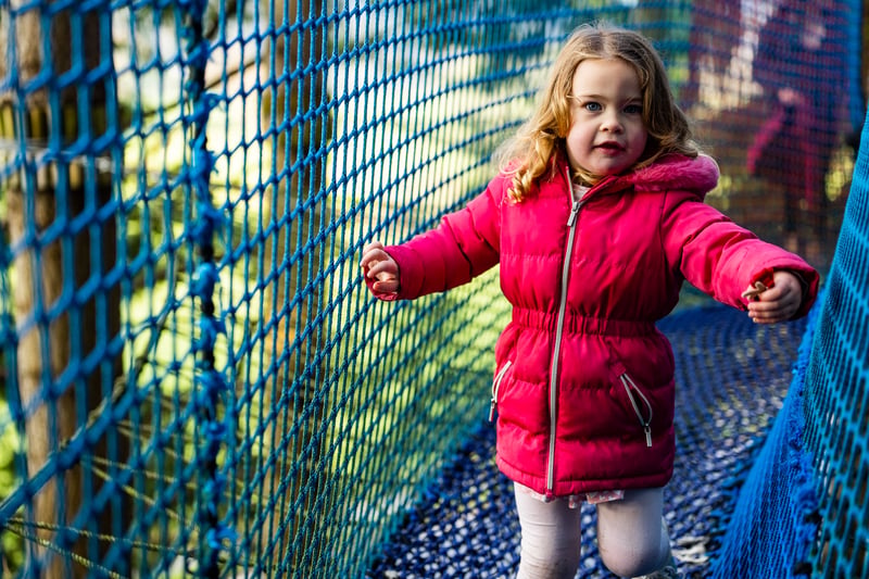 ‘Treetop Nets’ Bouncy Treetop Adventure in Manchester, photo 2