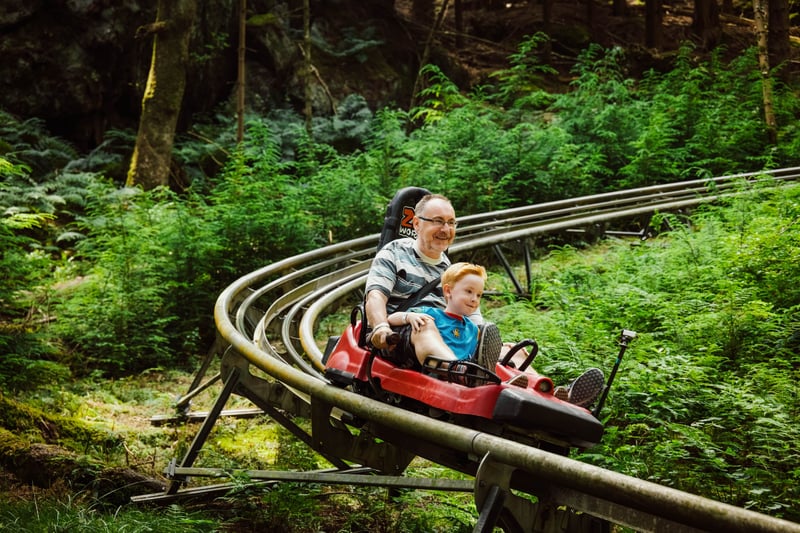 ‘Forest Coaster’ Alpine Coaster in Betws y Coed, photo 3