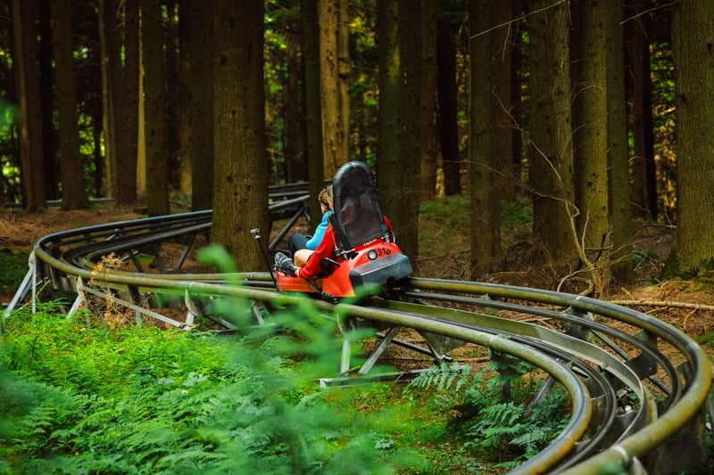 ‘Forest Coaster’ Alpine Coaster in Betws y Coed, photo 4