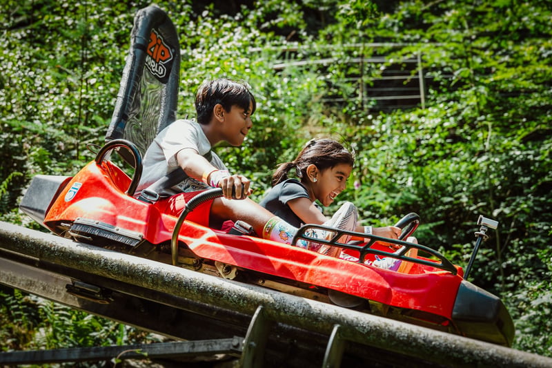 ‘Forest Coaster’ Alpine Coaster in Betws y Coed, photo 2