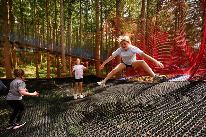 'Treetop Nets' Bouncy Treetop Adventure in Betws y Coed, photo 3