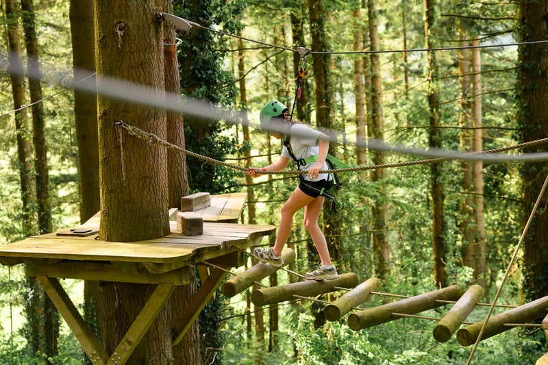 'Tree Hoppers' Kids Zip Course in Betws y Coed, photo 5