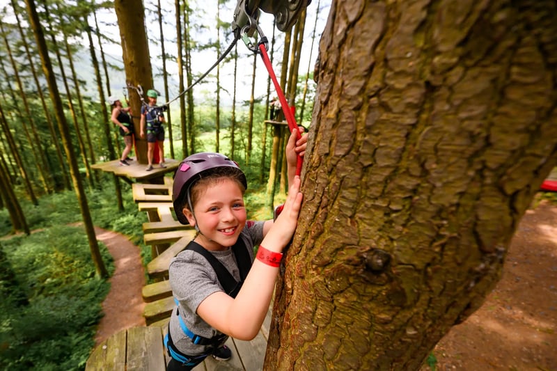 'Tree Hoppers' Kids Zip Course in Betws y Coed, photo 3