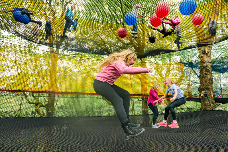 'Treetot Nets' Bouncy Treetop Adventure in Windermere, photo 3