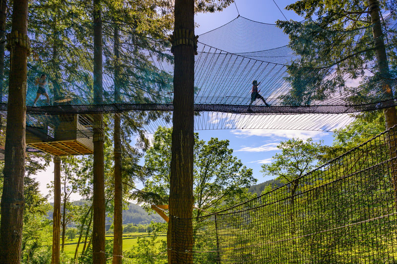 'Treetop Nets' Bouncy Treetop Adventure in Manchester, photo 5