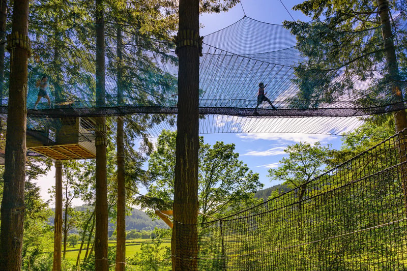 'Treetop Nets' Bouncy Treetop Adventure in Windermere, photo 4