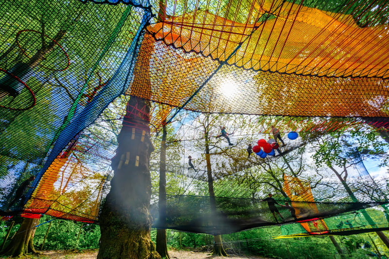 'Treetot Nets' Bouncy Treetop Adventure in Windermere, photo 2