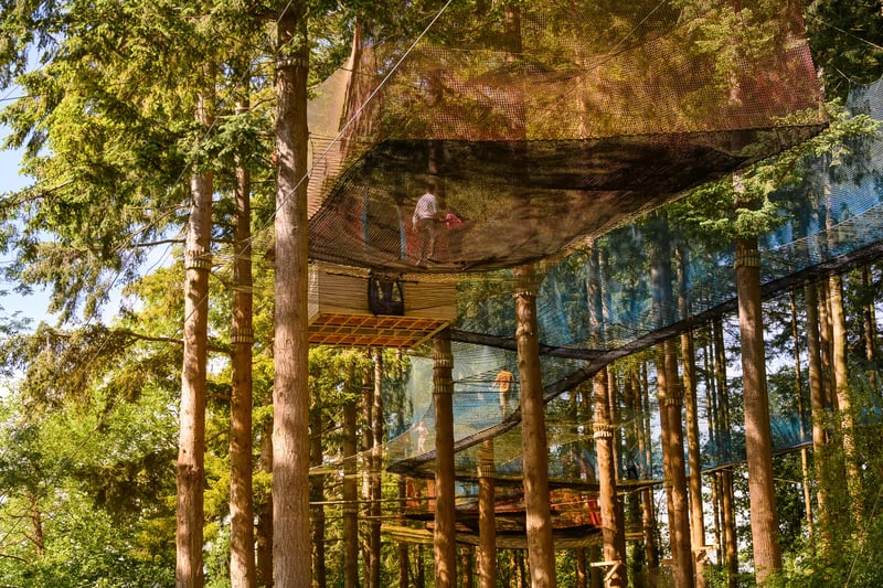 'Treetop Nets' Bouncy Treetop Adventure in Betws y Coed, photo 2