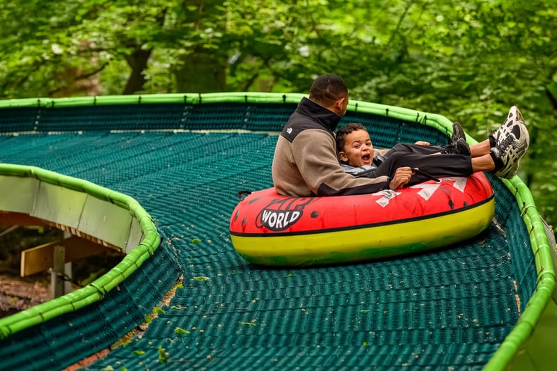 ‘Forest Tubing’ Woodland Slide in Manchester, photo 4
