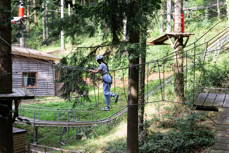 'Zip Safari' Treetop Zip Course in Betws y Coed, photo 3