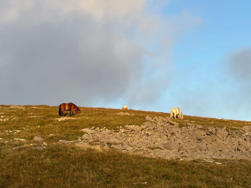 History in the Hills: Cwm Eigiau in Snowdonia, photo 5