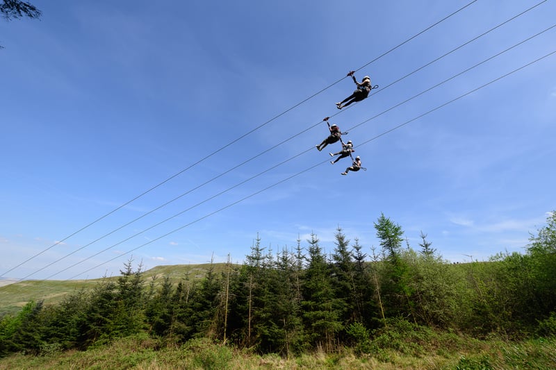 ‘Phoenix’ Seated Zip Line in Aberdare, photo 2