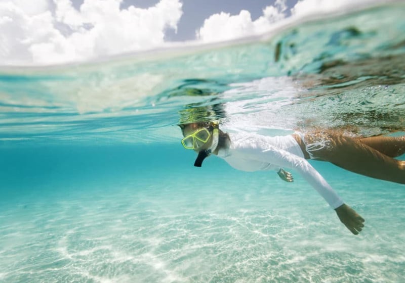 Half-day Snorkelling at Mnemba Coral Gardens, photo 4
