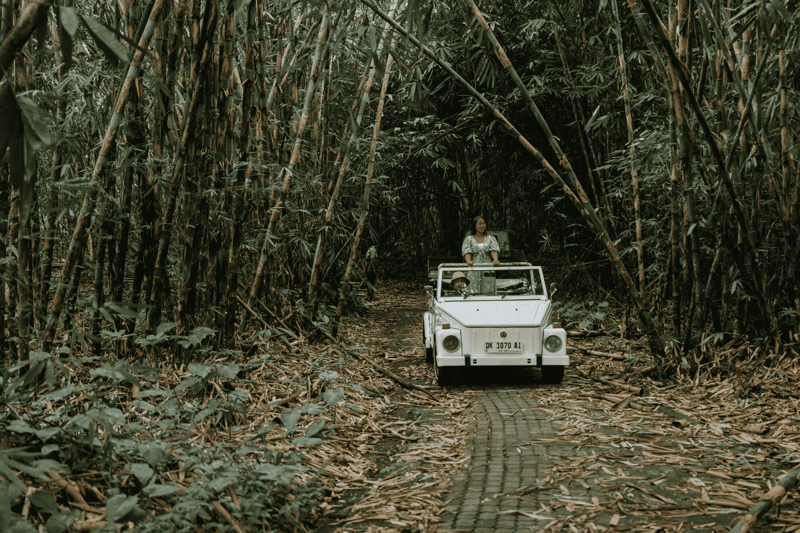 Vintage VW adventure : Tanah Gajah South Route, photo 2