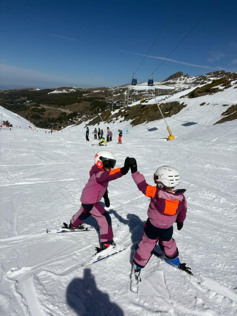 Advanced Technique Ski or Snowboard Course in Sierra Nevada, photo 3