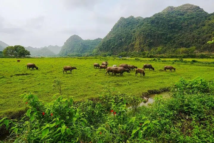 2D1NI from Cat Ba: Swimming - Kayaking - Biking - Stay on Boat, photo 2