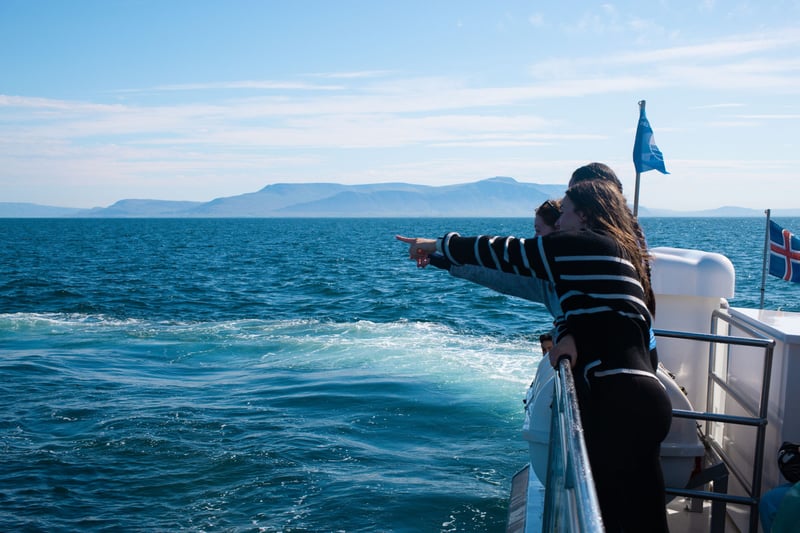 Whale Watching Tour in Reykjavik, photo 3