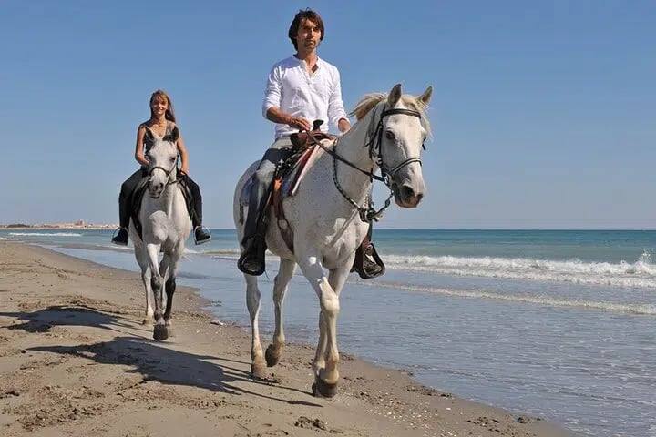 Horse Riding on the Beach with Transfer from Sharm El Sheikh, photo 2