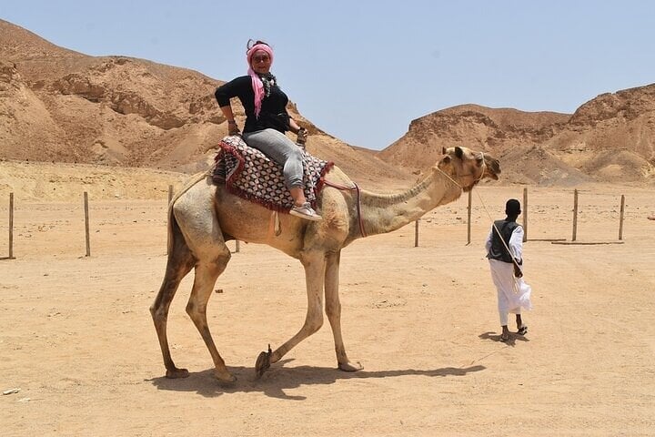 ATV Camel and Snorkel Safari in Marsa Alam, photo 3
