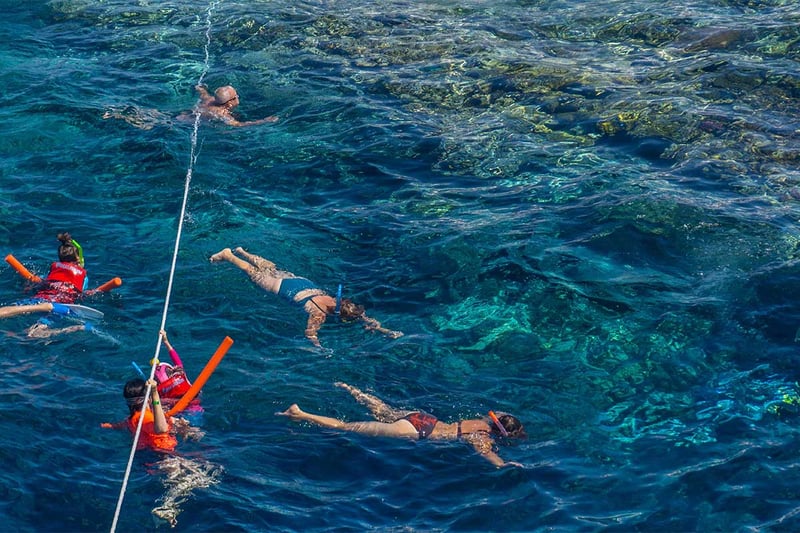 Ras Mohamed Snorkelling by Boat in Sharm El Sheikh, photo 5