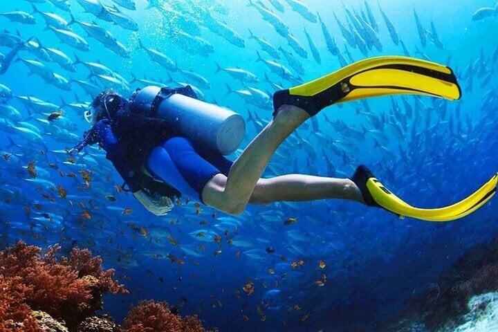 Daily Boat Diving with Lunch in Sharm El Sheikh, photo 4