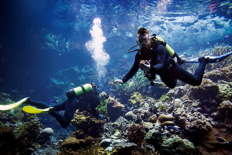Red Sea Diving Trip for Certified Divers from Hurghada, photo 2