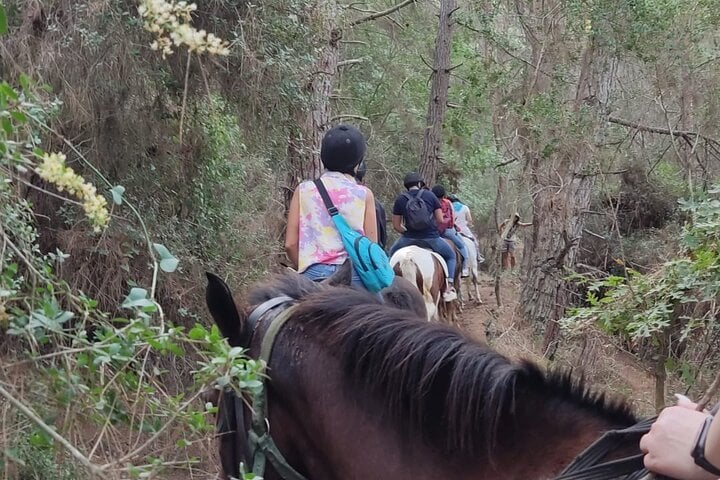 Horse Riding in the Taurus Mountains in Alanya, foto 4