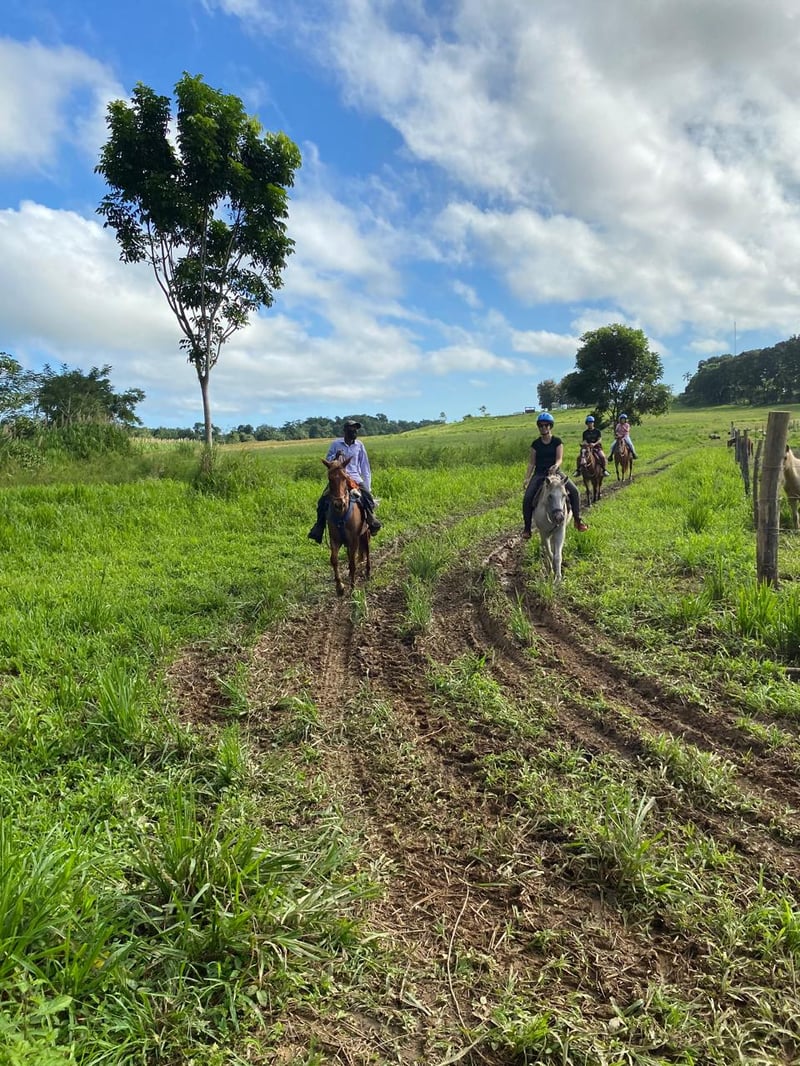 Inland Horseback Ride in Belize, photo 2