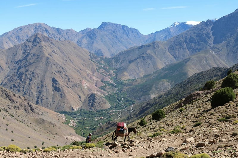 5-Day Atlas Mountains Trek with Camel Ride Start, photo 4