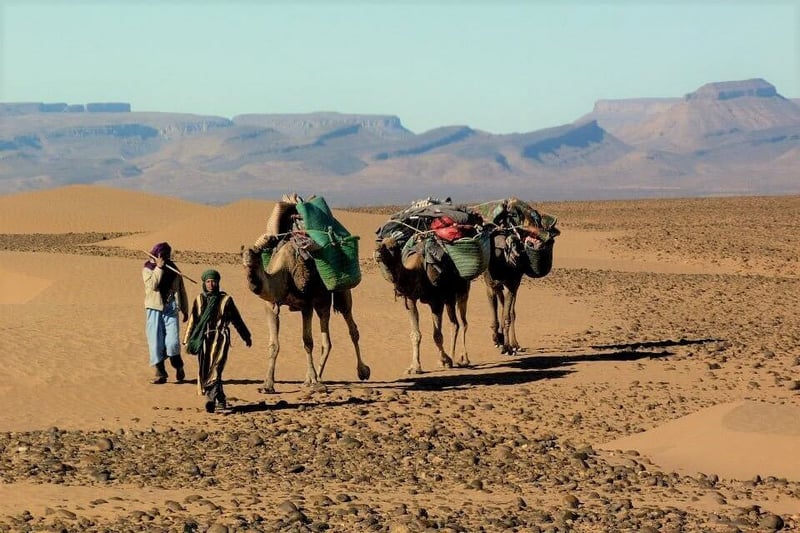 6-Day Deep Sahara Desert Trip from Marrakech, photo 4
