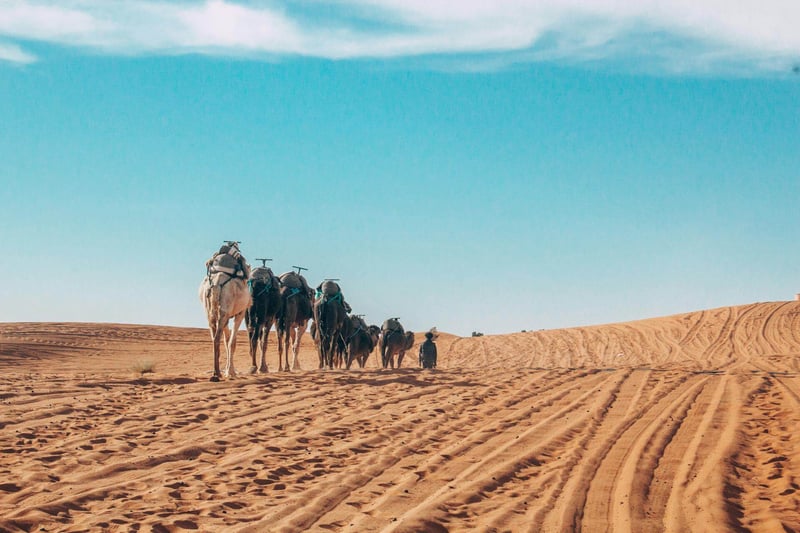 4-Day Dunes and Kasbahs Desert Tour from Marrakech, photo 5