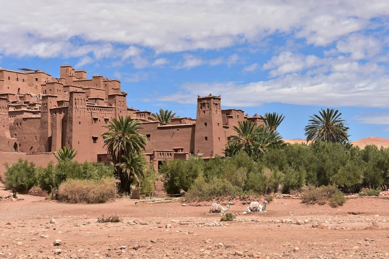 Kasbahs and Ksars of the South Day Trip from Marrakech, photo 4